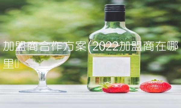 加盟商合作方案(2022加盟商在哪里买