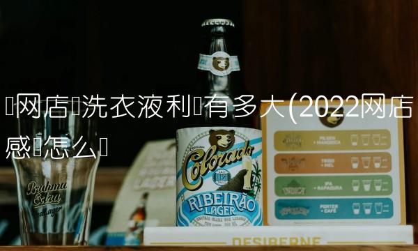 开网店卖洗衣液利润有多大(2022网店感觉怎么样